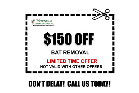 bat control coupon
