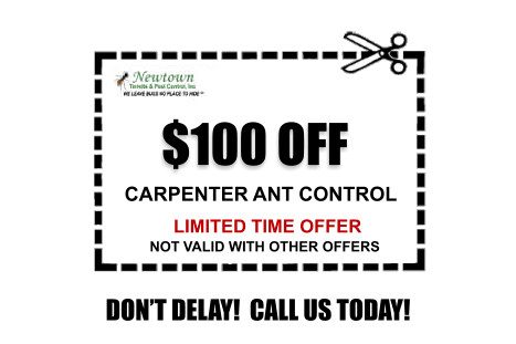 carpenter ant control coupon