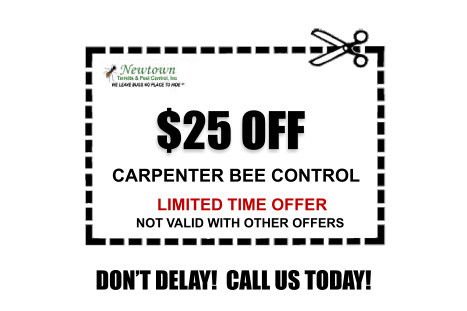 carpenter bee control coupon
