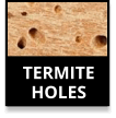 Termite Holes