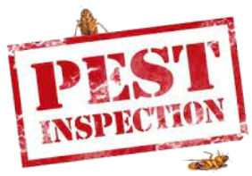 Schedule a pest control inspection