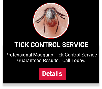 View our tick control services