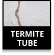 Termite Tubes
