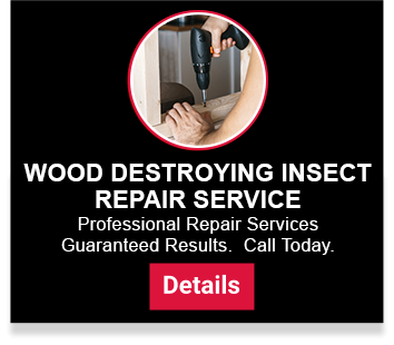 termite control services