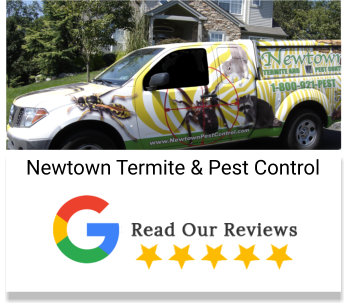 Yellow Jacket Pest Control in NJ and Bucks County PA