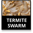 Termite Swarmers